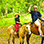 Jaco Canopy + Horseback Riding + Waterfall Hike