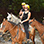 Jaco Canopy + Horseback Riding + Waterfall Hike
