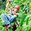 Guanacaste Dry Forest Canopy Tour