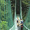 Monteverde Hanging Bridges Tour