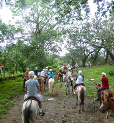 Costa Rica Horseback Riding Express Costa Rica
