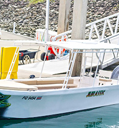 Express Manuel Antonio Snorkeling Tour