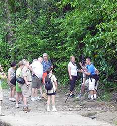 Manuel Antonio National Park Guided Hike