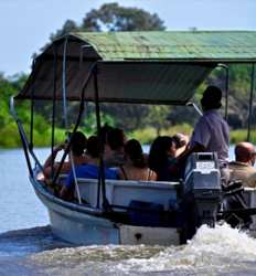 Tamarindo Mangrove Safari Float
