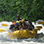 Excursión de Rafting en el Río Savegre (Clase II & III)