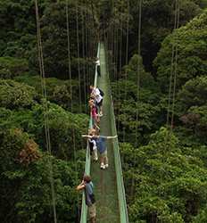 Aventura por el Bosque Nuboso de Monteverde