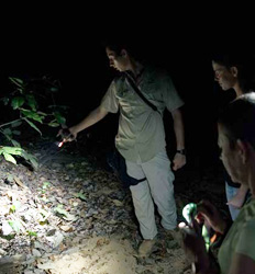 Caminata Nocturna en el Refugio de Vida Silvestre Hacienda Barú