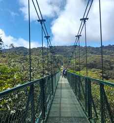 Excursión de Un Día en Monteverde Desde San José