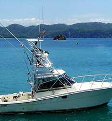 Sea Boss 33 ft Sportfisher 5 Pasajeros