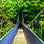 Arenal Hanging Bridges + Hot Springs Tour