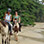 Punta Uva Beach Horseback Riding Tour