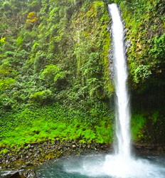 La Fortuna Waterfall Hike & La Finquita Farm - 2.5hrs