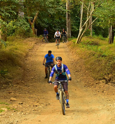 Rainforest Trails Mountain Biking + Crocodile Safari Float