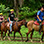 Día Completo en el Parque de Aventuras Vista Los Sueños en San José