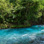 Excursión de Llantas Flotantes en el Río Celeste Desde La Fortuna