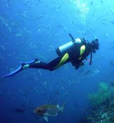 Excursión de Buceo Certificada de 2 Tanques en Tamarindo