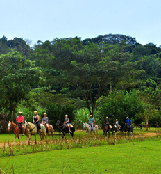 Excursión De Día Completo Al Parque De Aventuras Vista Los Sueños (Conexión Inteligente – Conecta San José Con Jacó)