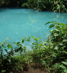 Excursión de Llantas Flotantes en el Río Celeste Desde La Fortuna